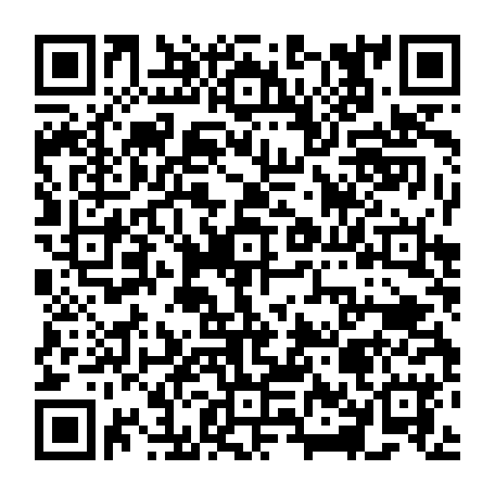 モデニカアート アイブロウ WP OG 0.38g