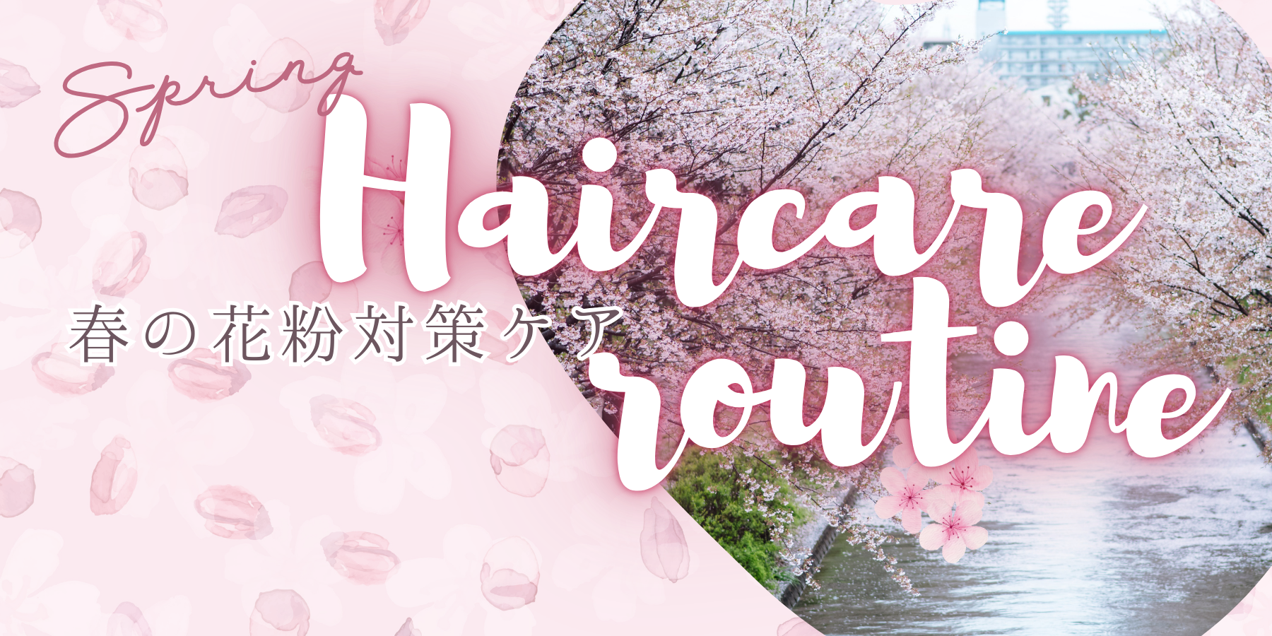 春の花粉対策特集ページリンク