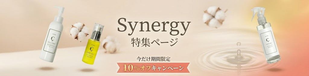 Synergy特集ページスライド画像
